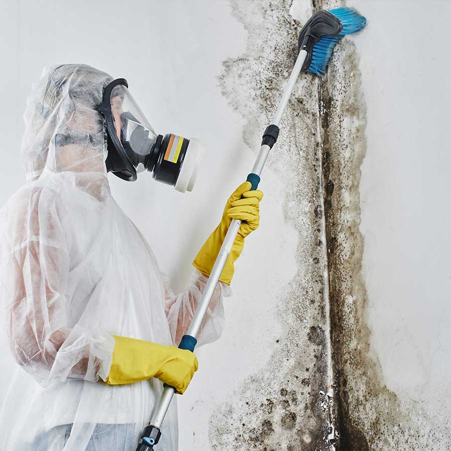 Reva-Commercial-Insurance-Mould-Remediation